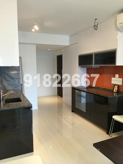 Sant Ritz (D13), Condominium #127679952